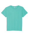 Premium Blend Ring Spun T-Shirt